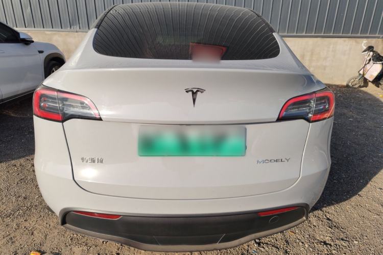 Used Tesla Model Y 2021 Standard Range Rear-Wheel Drive Version
