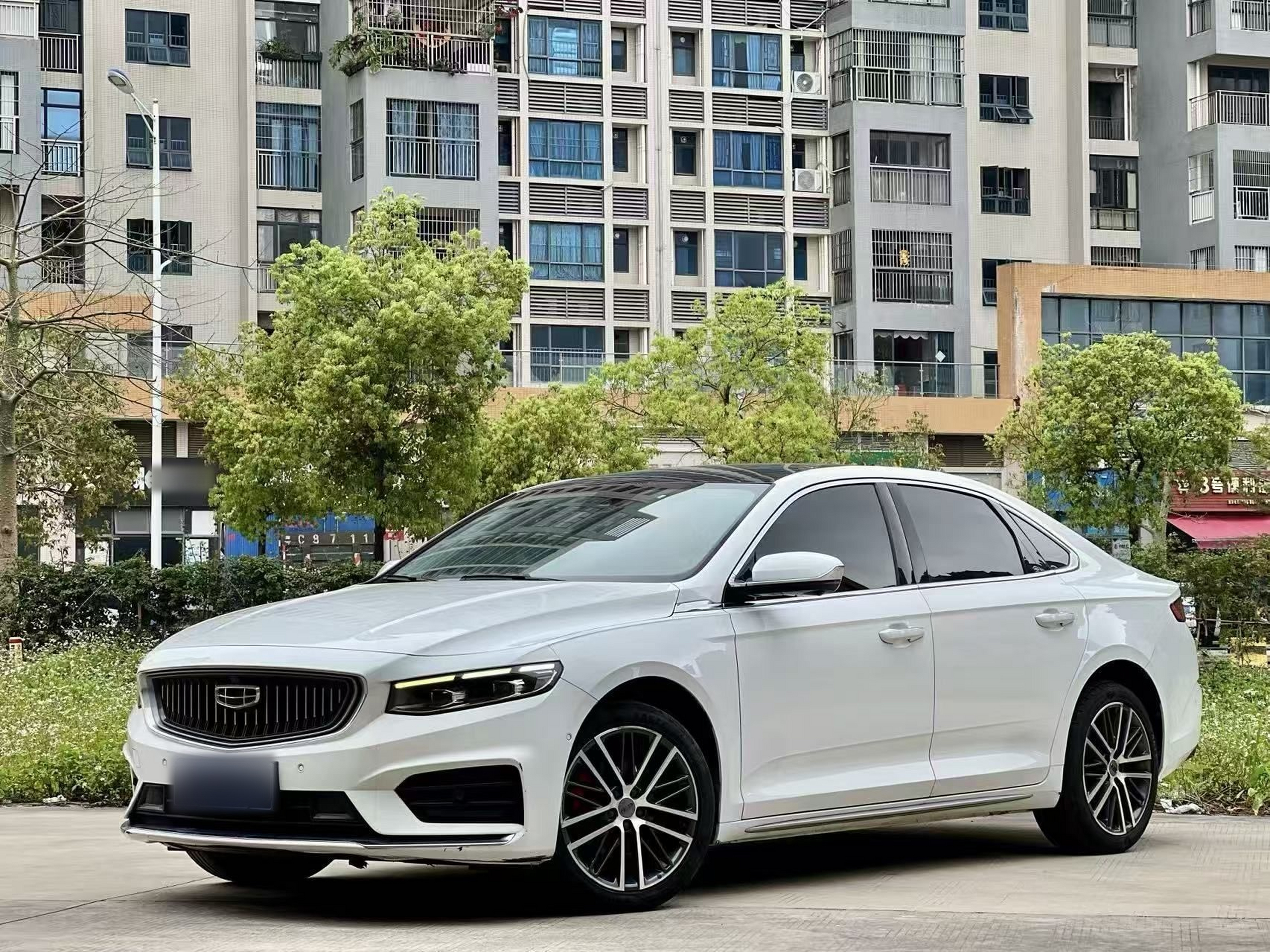 Parte inferior delantera