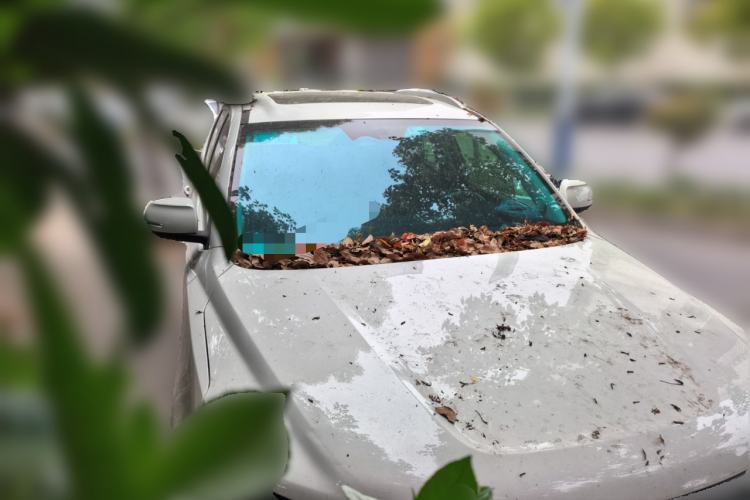 Used Geely Auto Vision X6 2016 1.8L Manual Luxury Model