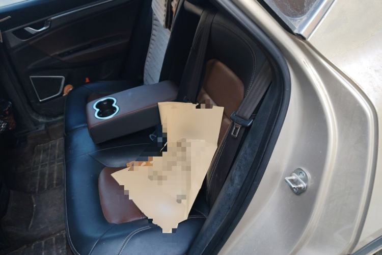 Used Geely Auto Emgrand GS 2017 Sport Edition 1.3T Automatic Smart Connectivity Model Left Rear Seat