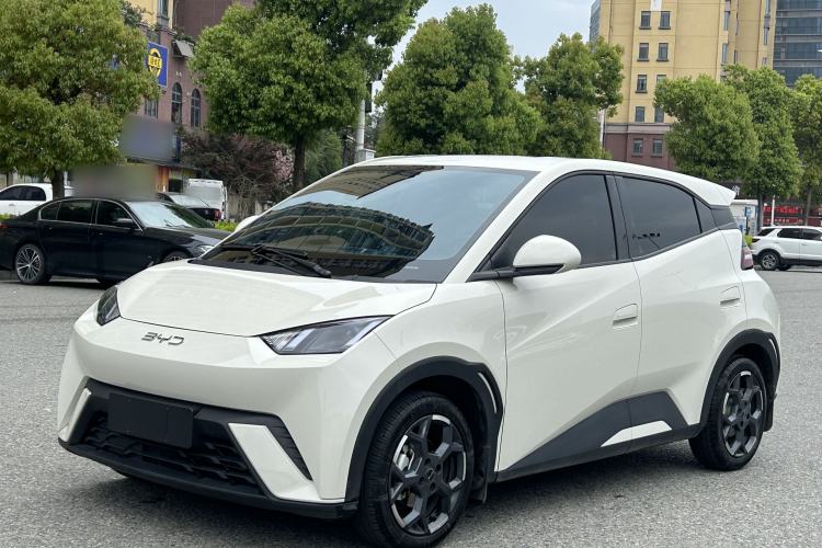 Used BYD Seagull 2024 Honor Edition 305km Freedom Version