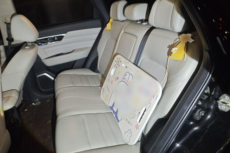 Used Venucia Star 2020 260T Automatic 48V Mild Hybrid Turbocharged Star Edition