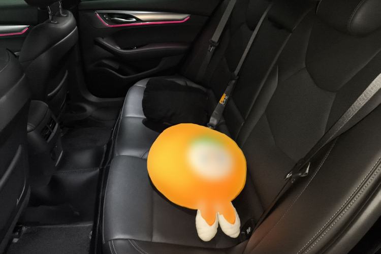 Used Cadillac CT5 2024 28T Luxury Pro Trim Left Rear Seat