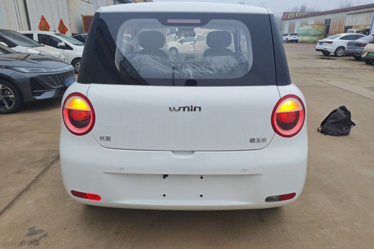 Used Qiyuan Lumin 2026 Model Treasure Edition 205km Beloved Beige Guoxuan
