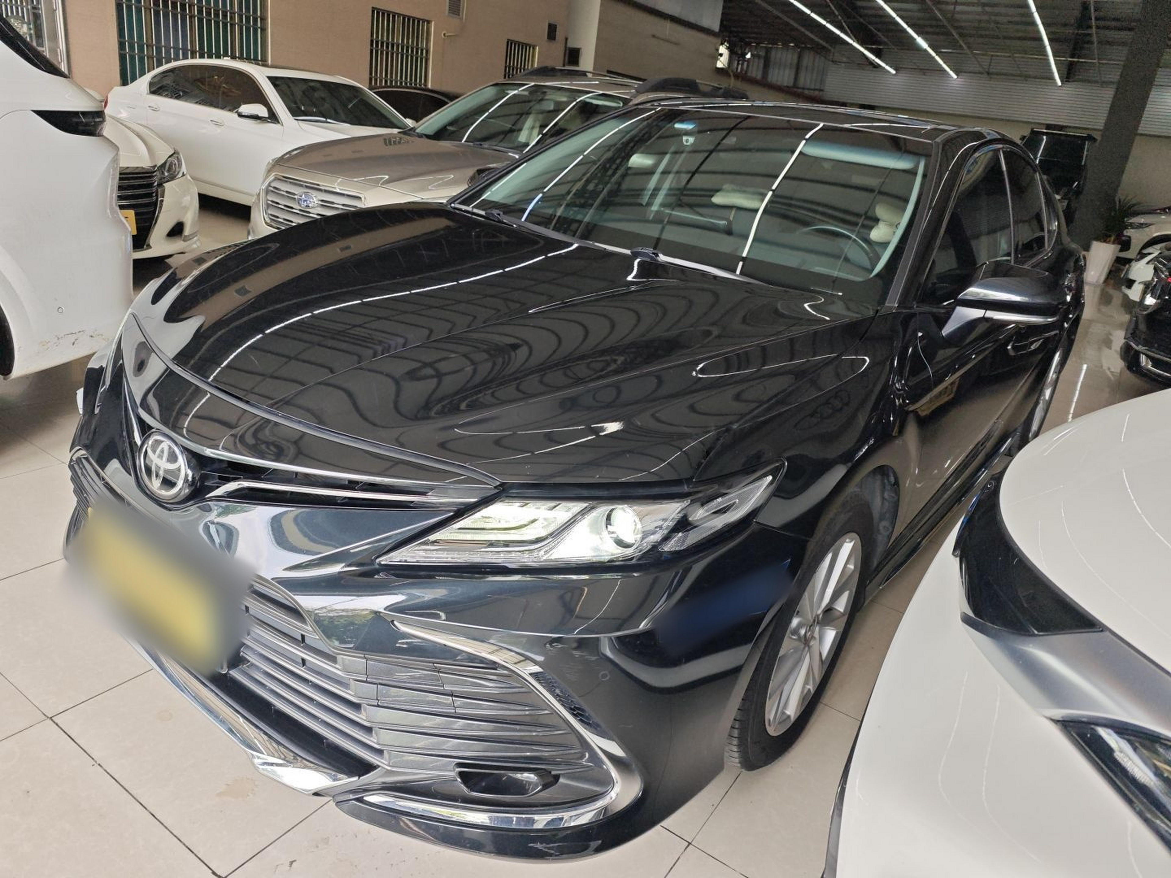 تحت مقدمة السيارة