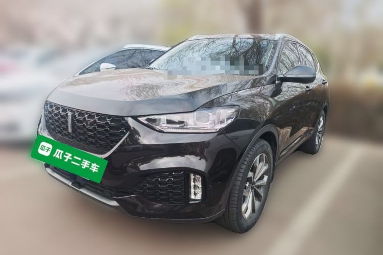 Used Wey VV6 2019 2.0T Two-Wheel-Drive Ultra-Luxury Version China VI Standard