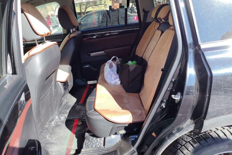 Used GAC Trumpchi GS8 2017 320T Two-Wheel Drive Luxury Smart Connectivity Version (7 Seats) Left Rear Seat