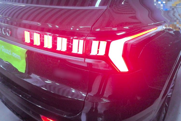 Used Lynk & Co 09 EM-P 2023 2.0TD EM-P Four-Wheel Drive Asian Games Executive Edition Five Seats
