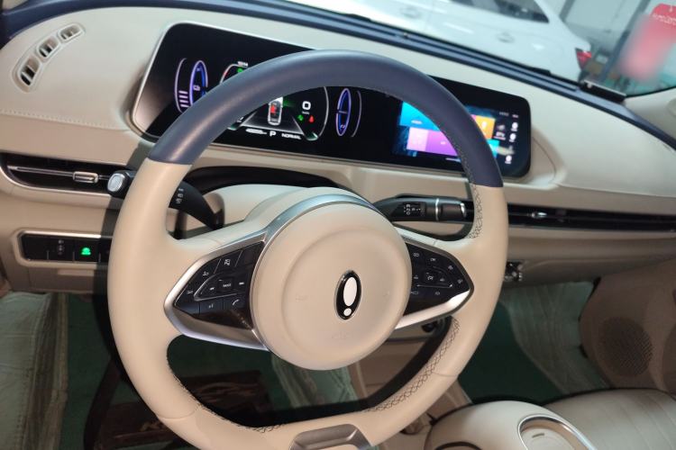 Used ORA Good Cat 2023 401 km Standard Range Luxury Version Lithium Iron Phosphate