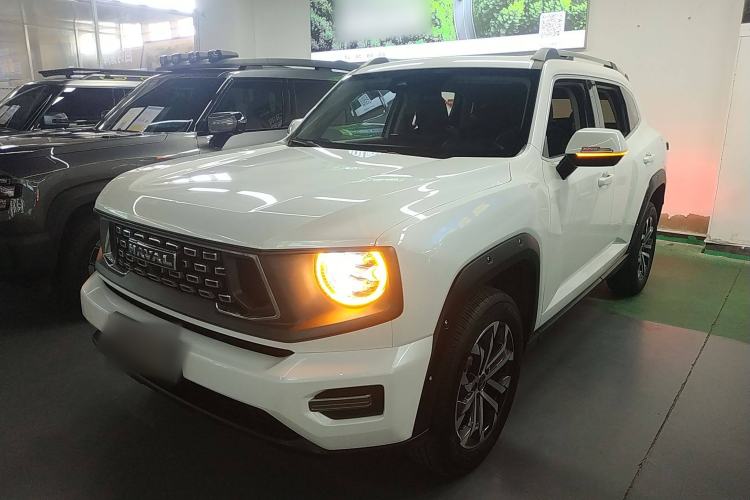 Used Haval H Dog 2023 2.0T Two-Wheel Drive Chaoye Version Plus