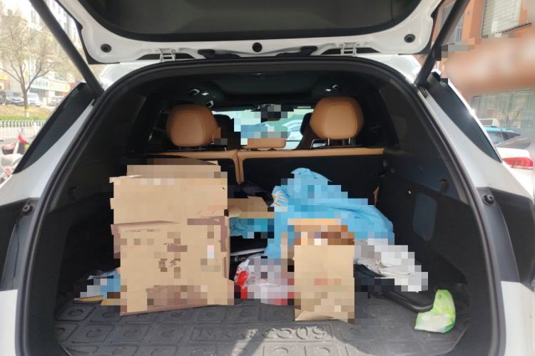 Used Lynk & Co 09 EM-P 2023 2.0TD EM-P Four-Wheel Drive Asian Games Executive Edition Five Seats
