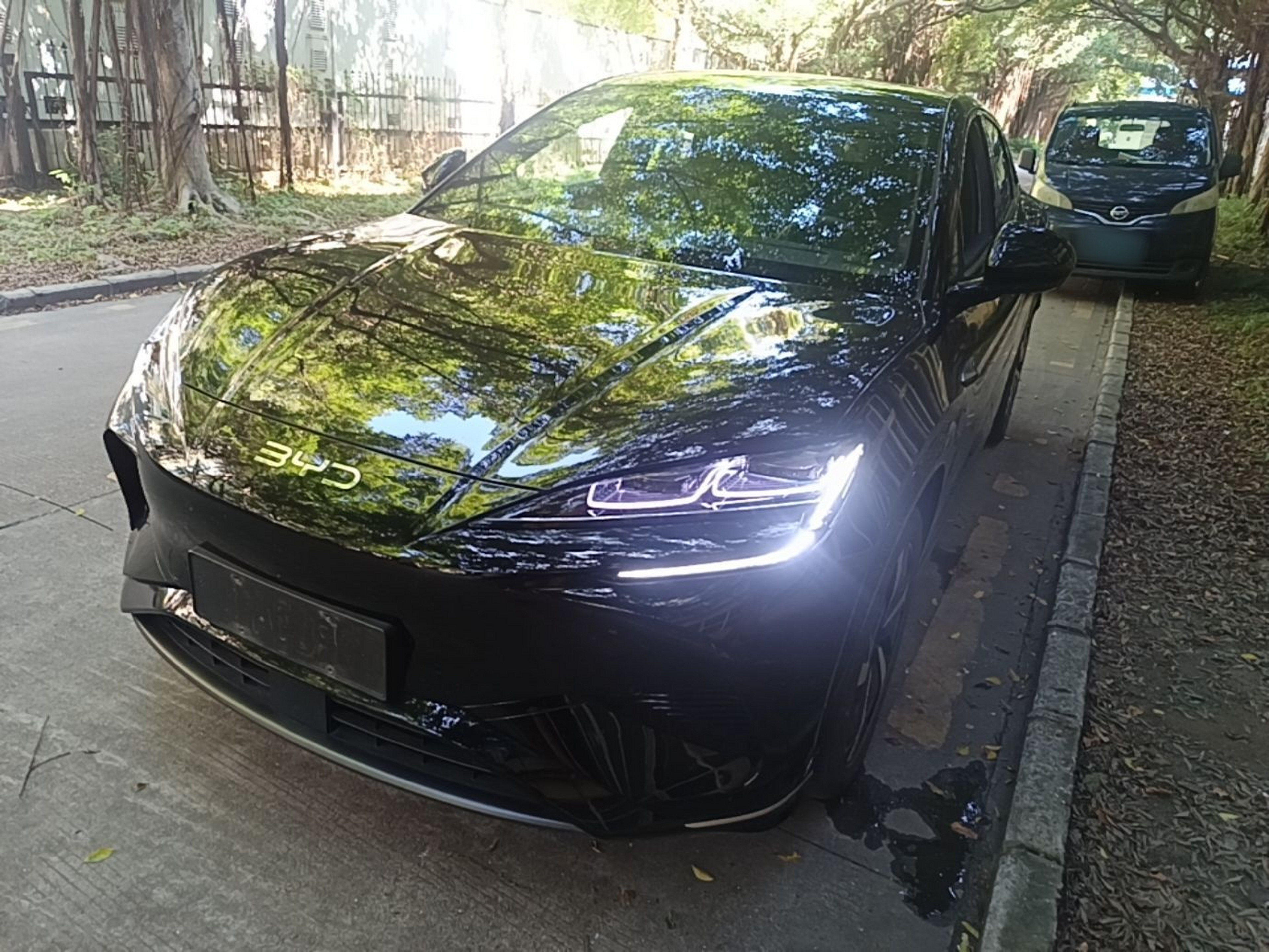 Under Front Bumper