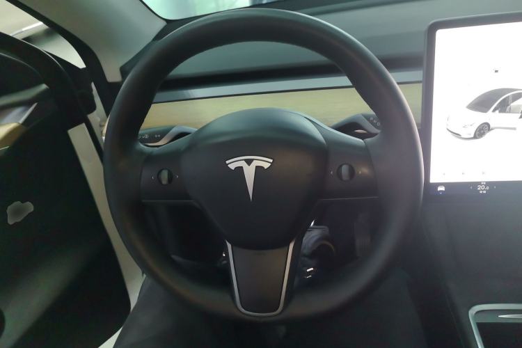 Used Tesla Model Y 2021 Revised Version 2 Long-Range All-Wheel-Drive Edition
