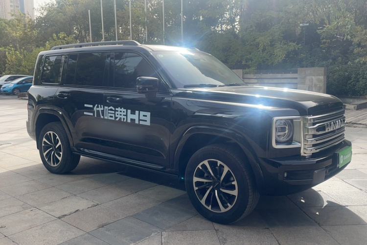 Used Haval H9 2024 2.0T Gasoline All-Wheel-Drive Extreme Edition Exterior 6