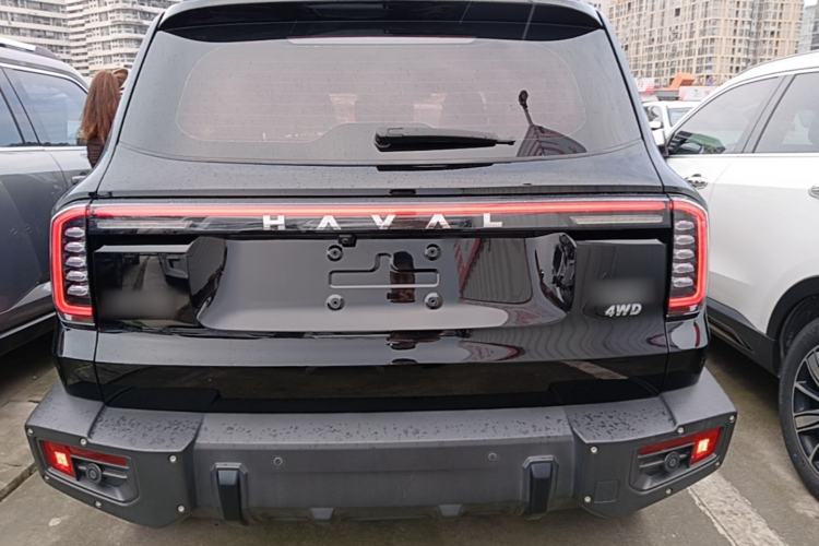 Used Haval DARGO 2024 2.0T DCT Chinese Rural Dog Edition
