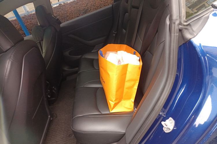 Used Tesla Model 3 2019 Standard Range Rear-Drive Upgraded Version
