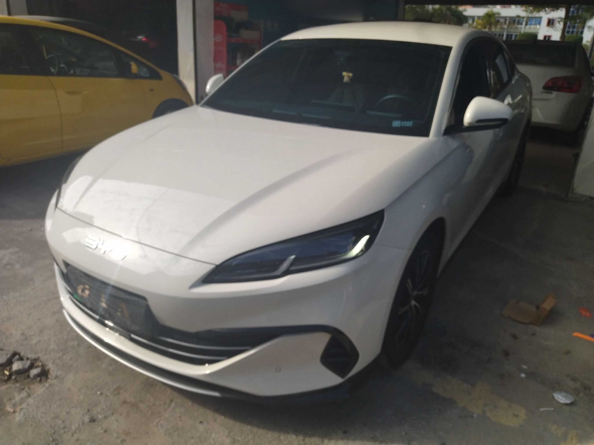 تحت مقدمة السيارة