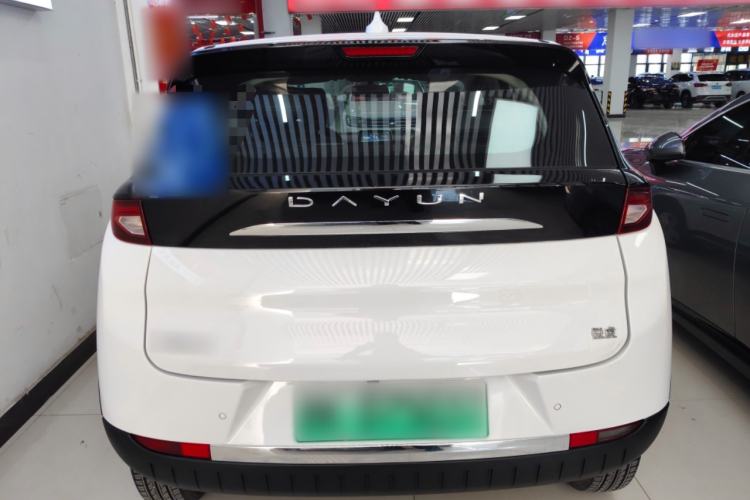 Used Dayun Yuehu 2023 300 Standard Edition
