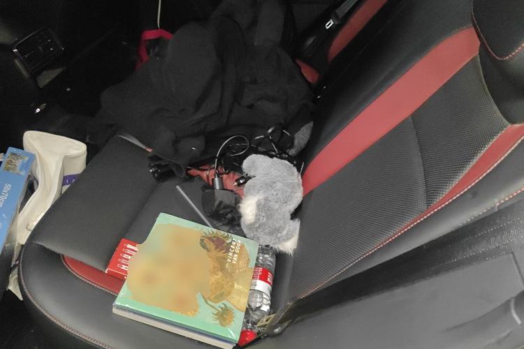 Used Skoda Karoq 2022 TSI280 Luxury Edition Left Rear Seat