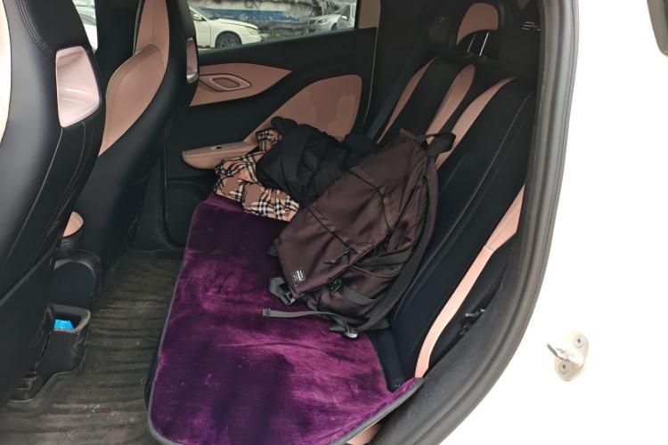 Used BYD Seagull 2023 Active Version Left Rear Seat