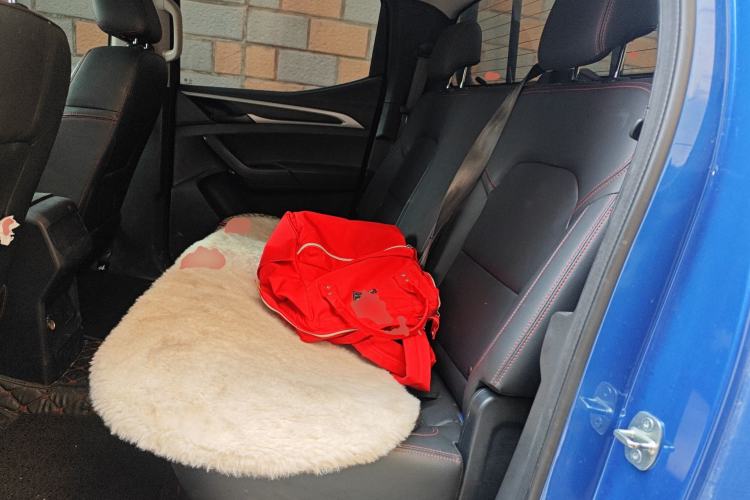 Used SAIC MAXUS T60 2017 2.0T Gasoline Automatic Two-Wheel Drive High-Ride Elite Standard Cabin
