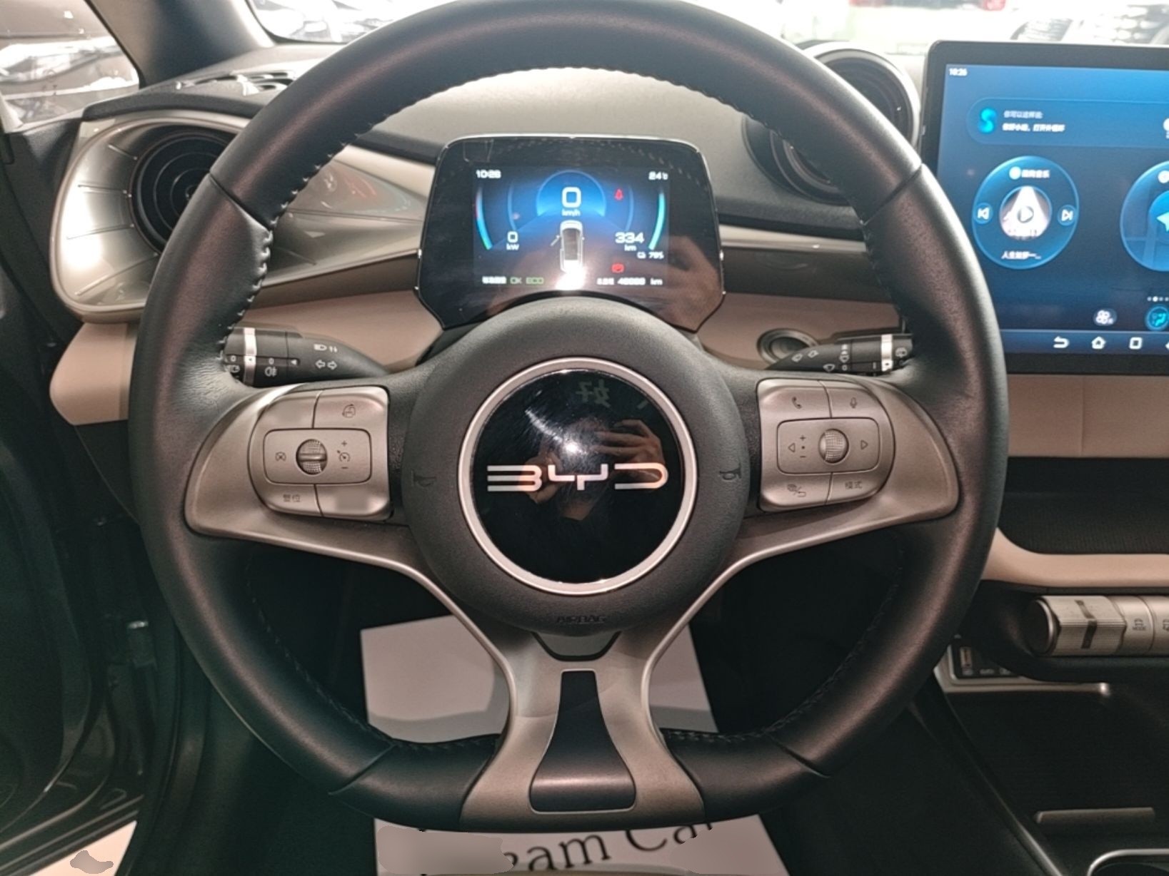 BYD Dolphin 2023 420 km Fashion Edition — снимка 13