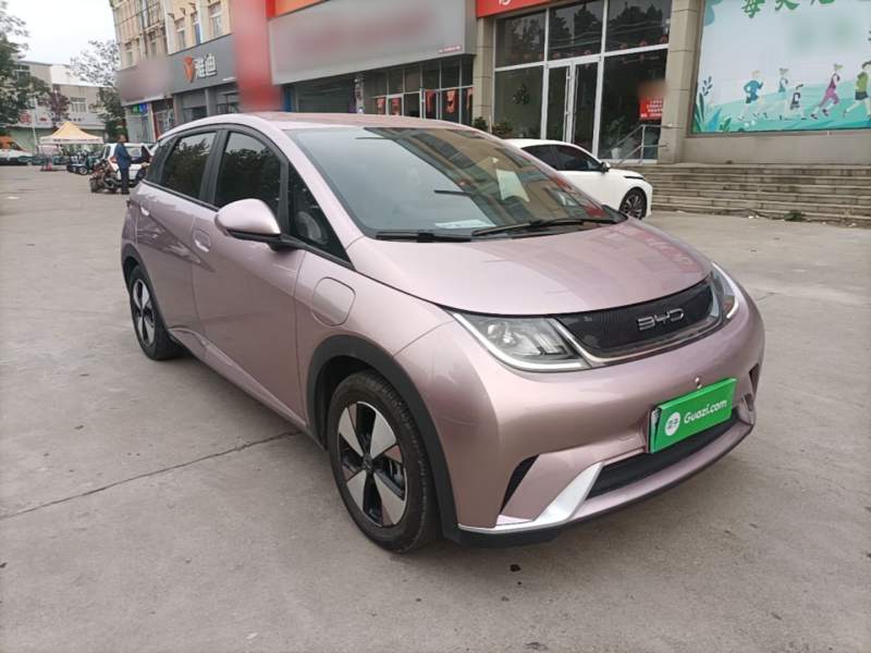 Used BYD Dolphin 2023 420 km Free Version — 3