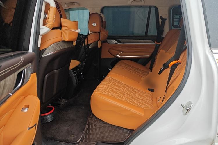 Used Tank 500 New Energy 2023 Hi4-T Left Rear Seat