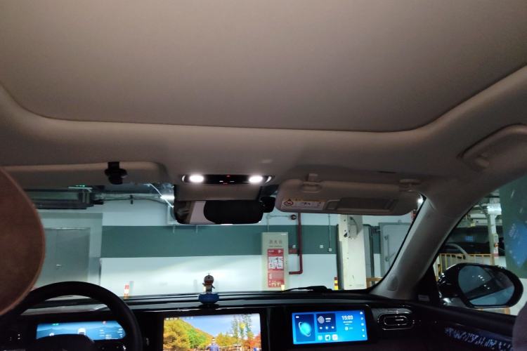 Used Leapmotor C11 2021 Deluxe Edition Headliner