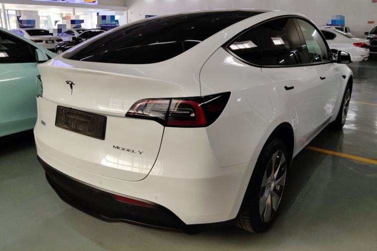 Used Tesla Model Y 2021 Standard Range Rear-Wheel Drive Version
