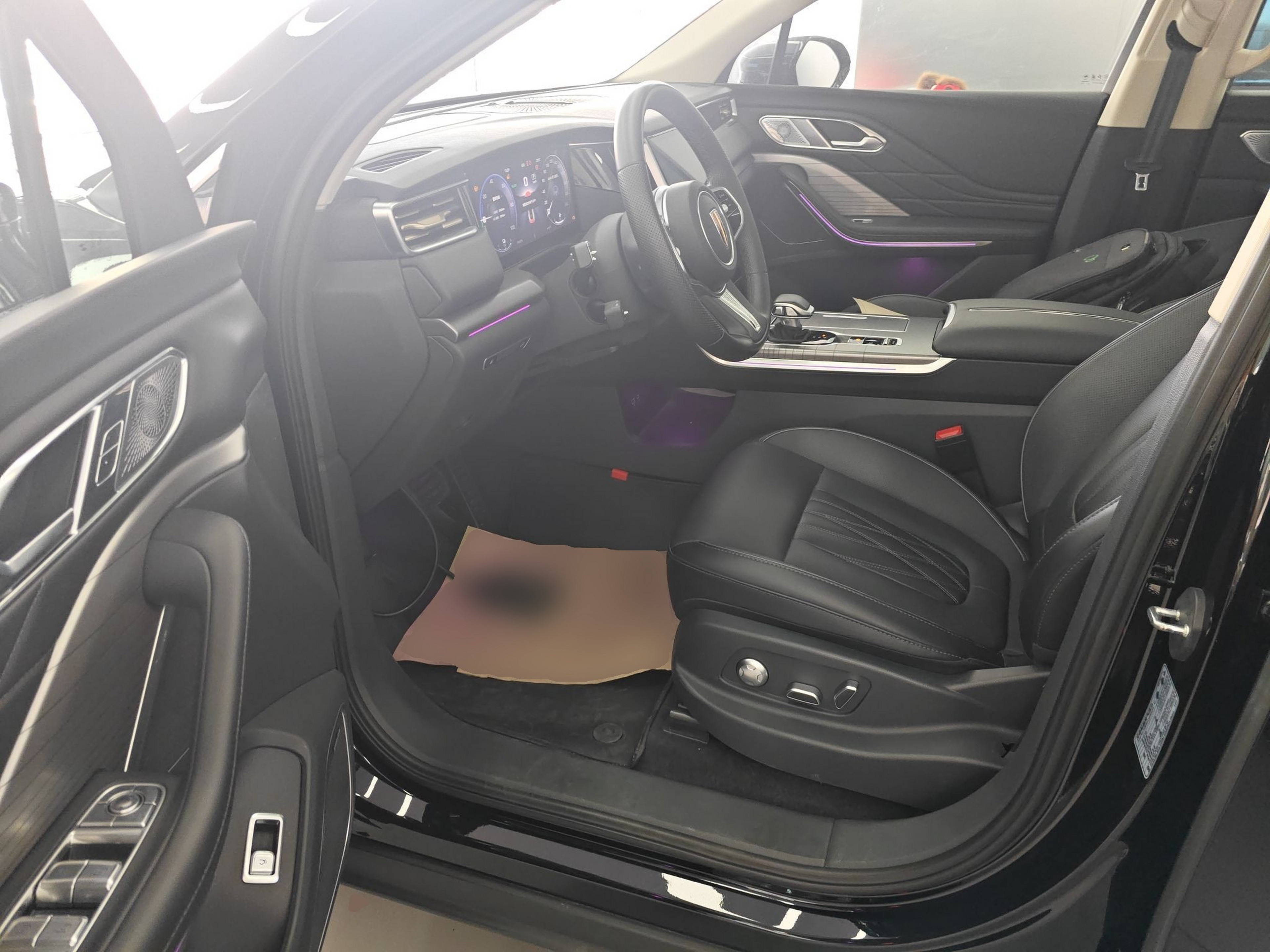 Interior delantero