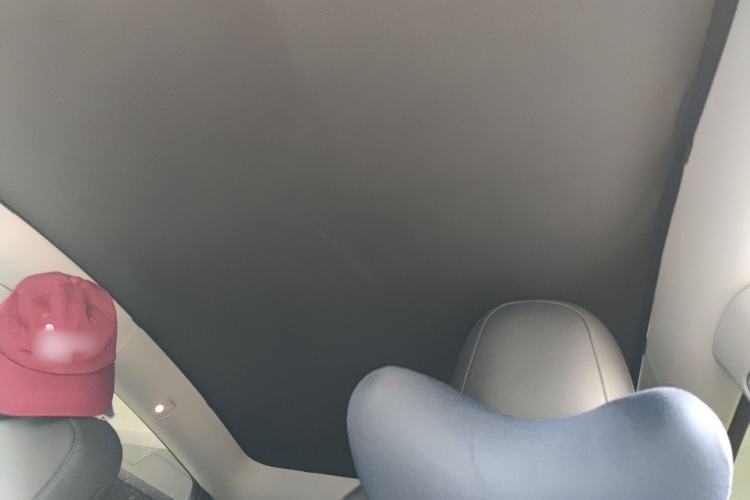 Used Tesla Model Y 2021 Long-Range All-Wheel-Drive Version Headliner