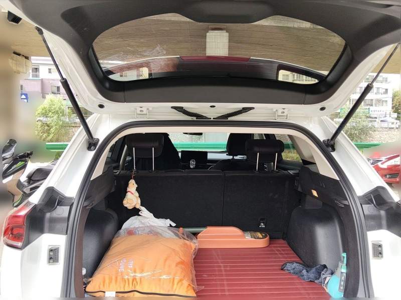 Used Haval H6 2023 National Trend Edition 1.5T Automatic Urban Version — 15
