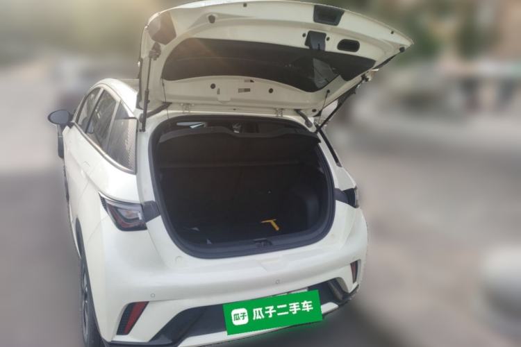 Used BYD Dolphin 2023 420 km Fashion Edition