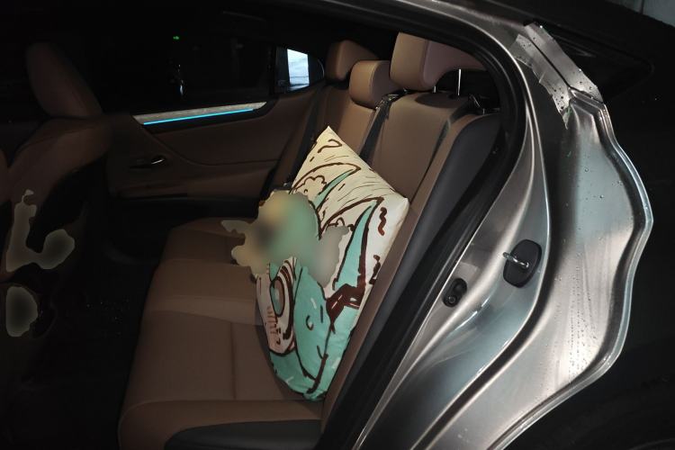 Used Lexus ES 2025 200 Premium Edition