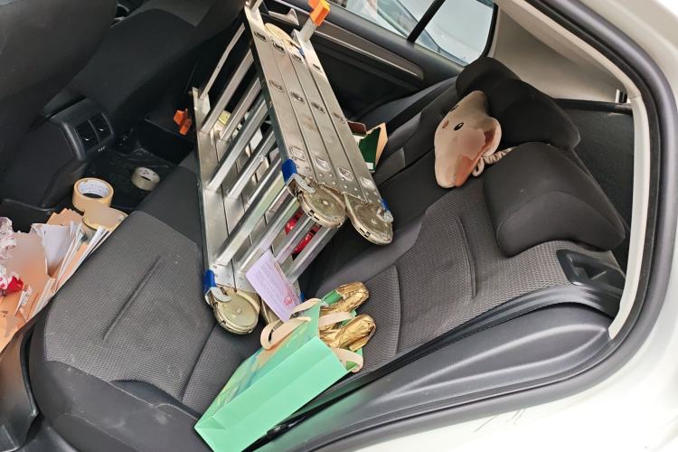 Used Volkswagen Golf 2017 230TSI Automatic Comfort Edition – Celebrating Milestone of One Million Units Left Rear Seat