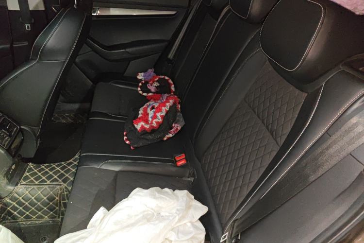 Used Skoda Karoq 2020 TSI280 Luxury Smart Edition China VI Standard