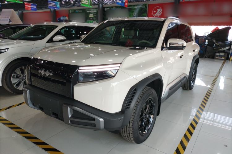 Used Formula Leopard Titanium 3 2025 501 km Range Rear-Wheel Drive Intelligent Driving Max Edition