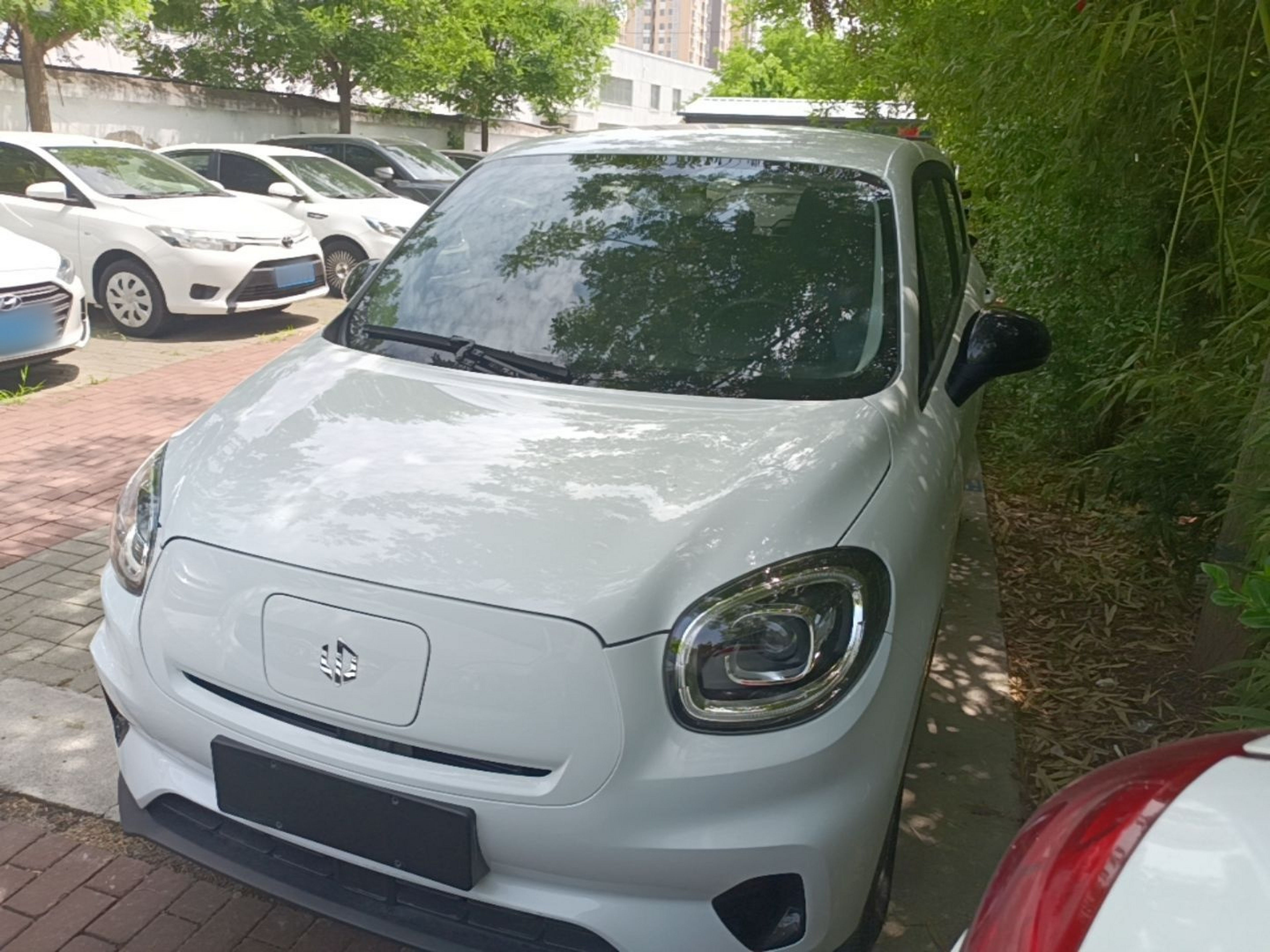 Under Front Bumper
