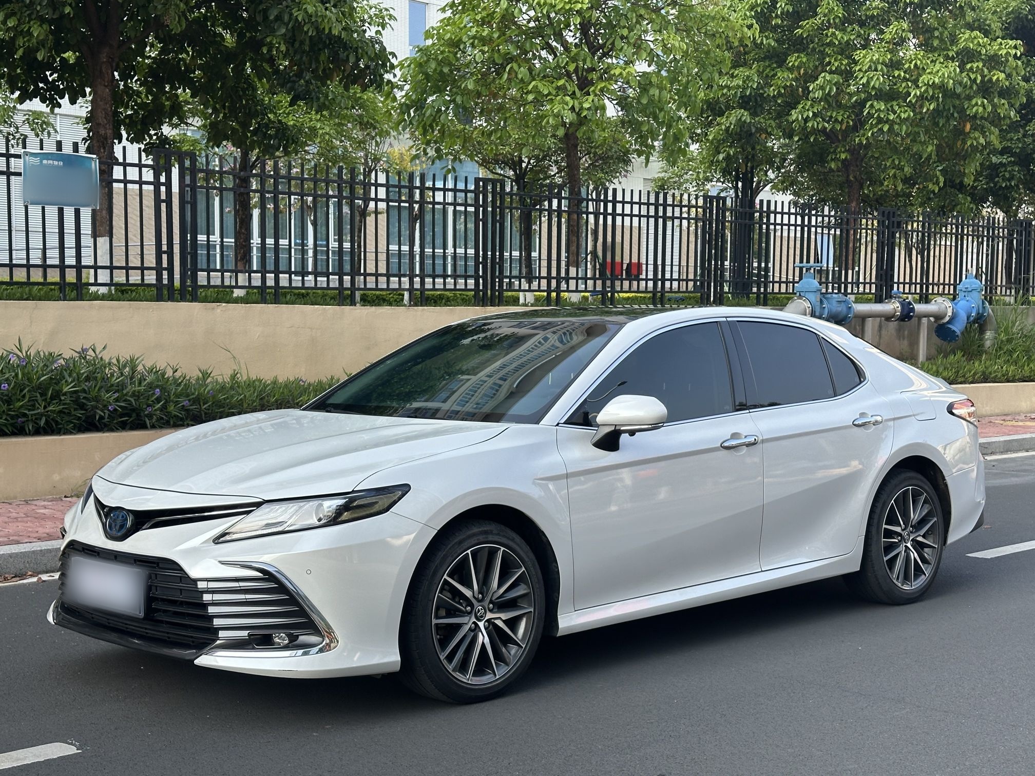 Parte inferior delantera