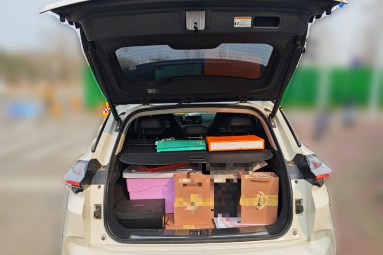 Used NETA U 2021 Pro 400 Cruiser Edition