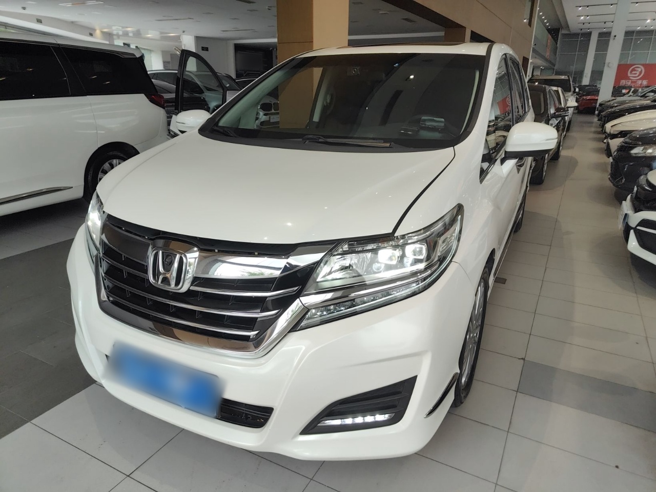 Parte inferior delantera