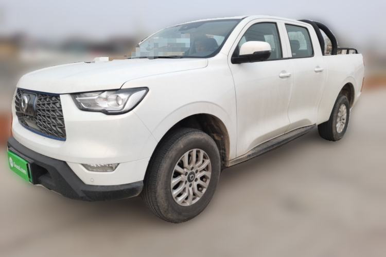 Used Great Wall Poer New Energy 2021 Commercial Edition Leading-Edge Big Double