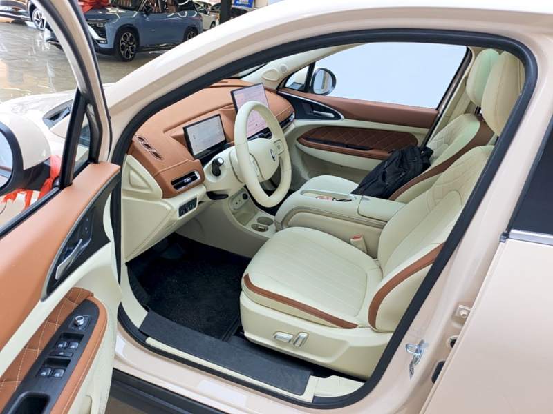 Used ORA Good Cat 2025 Model, 430 km Prestige Version — 15