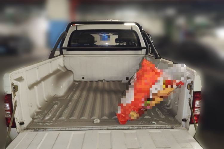 Used Chana Shenqi F30 2019 1.5L Comfort Edition China VI Dual-Cab Short-Wheelbase DAM15KL