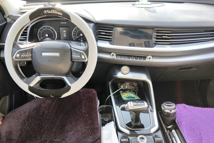 Used Haval H6 2017 Red Label 2.0T Automatic Two-Wheel Drive ZhiShang Model
