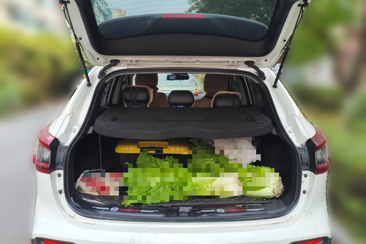 Used Nissan Qashqai 2023 Classic 2.0L CVT XV Comfort Edition