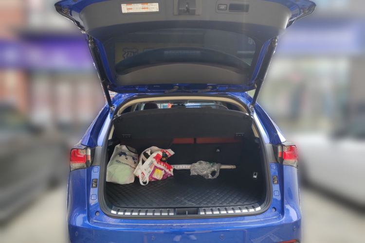 Used Lexus NX 2016 200 All-Wheel Drive FENGSHANG Version