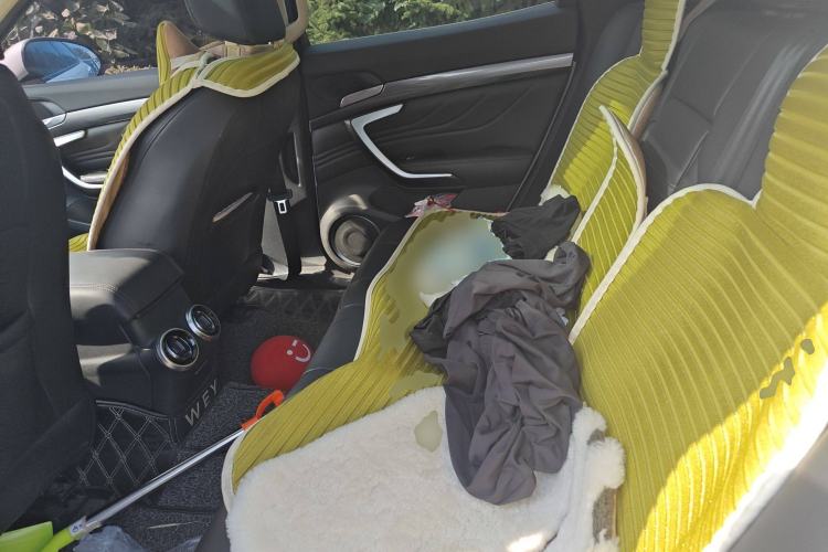 Used Wey VV7 2017 2.0T Luxury Model Left Rear Seat