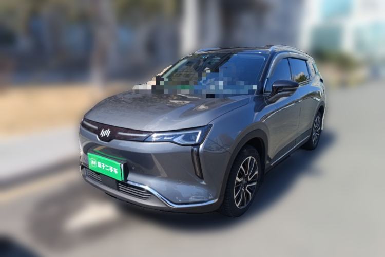 Used WM Motor W6 2021 520km ACE Advanced Intelligence Edition